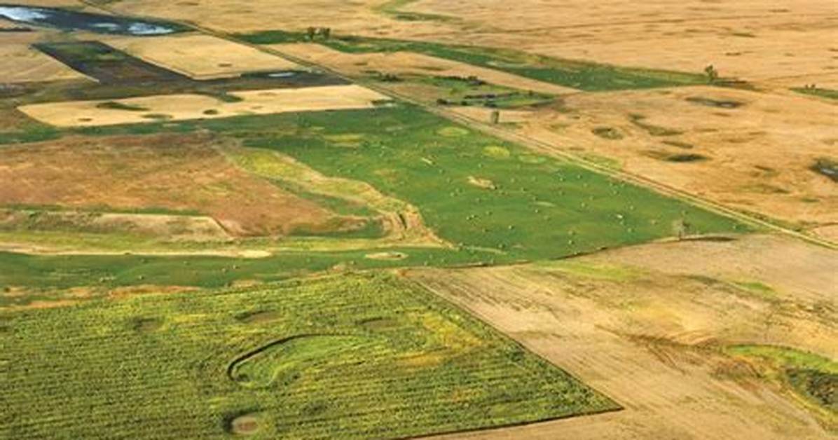 What Does Great Plains Mean