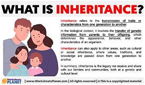 What Does It Mean by Inheritance?
