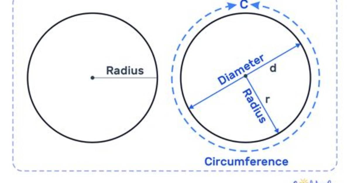 What Does It Mean to Circle a Word?