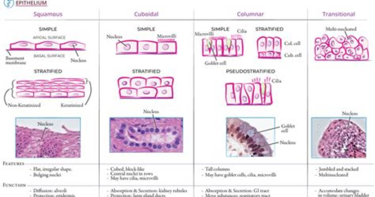 What Does It Mean to Group Cells in Google Sheets?