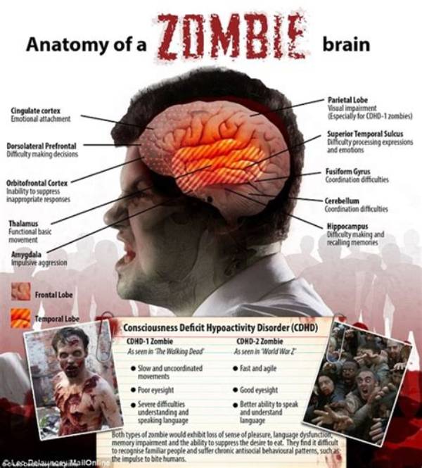 What Does It Mean to Zombie Someone?