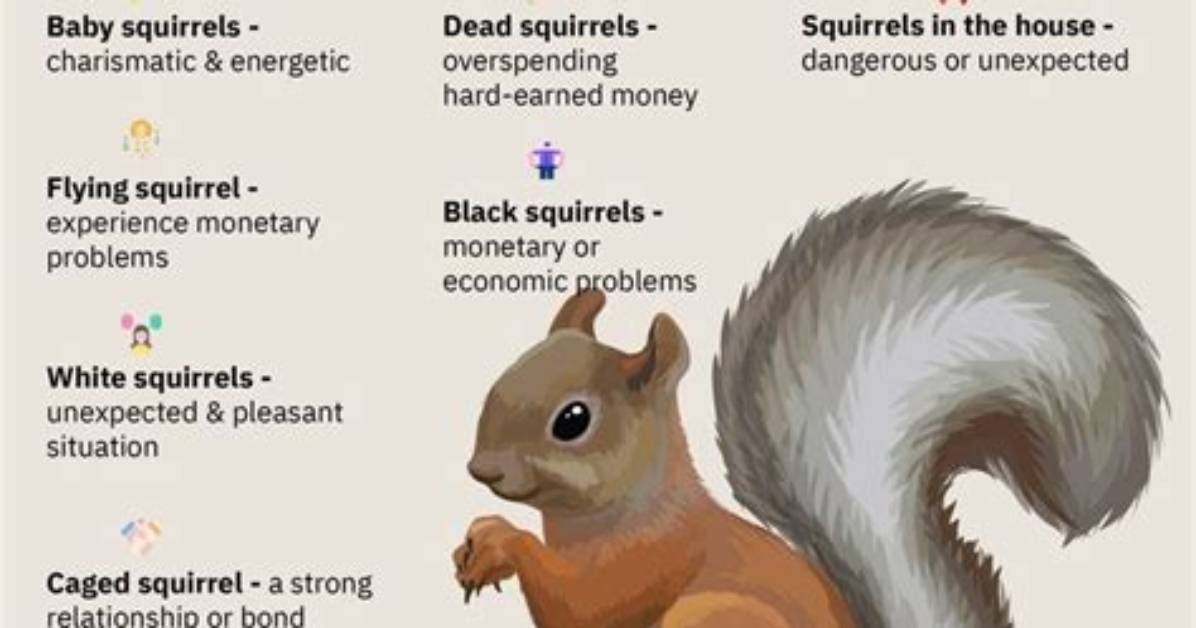 What Does It Mean When a Squirrel Tries to Get in Your House?