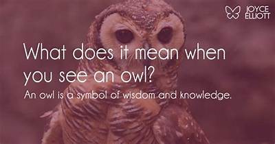 What Does It Mean When You See a Crow?