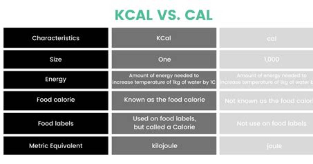 What Does Kcal Stand for? a Comprehensive Guide to Understanding Calories