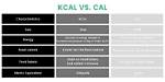 What Does Kcal Stand for? a Comprehensive Guide to Understanding Calories