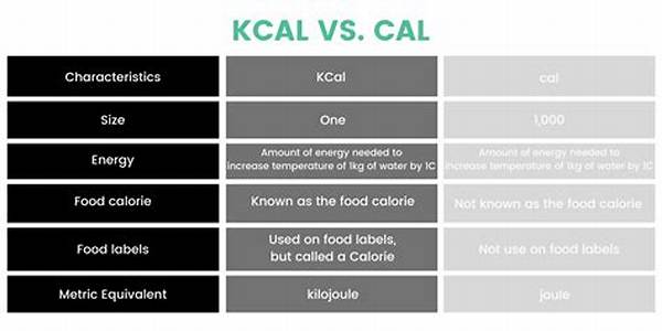 What Does Kcal Stand for? a Comprehensive Guide to Understanding Calories