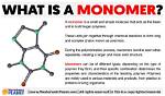 What Does Monomeric Means?