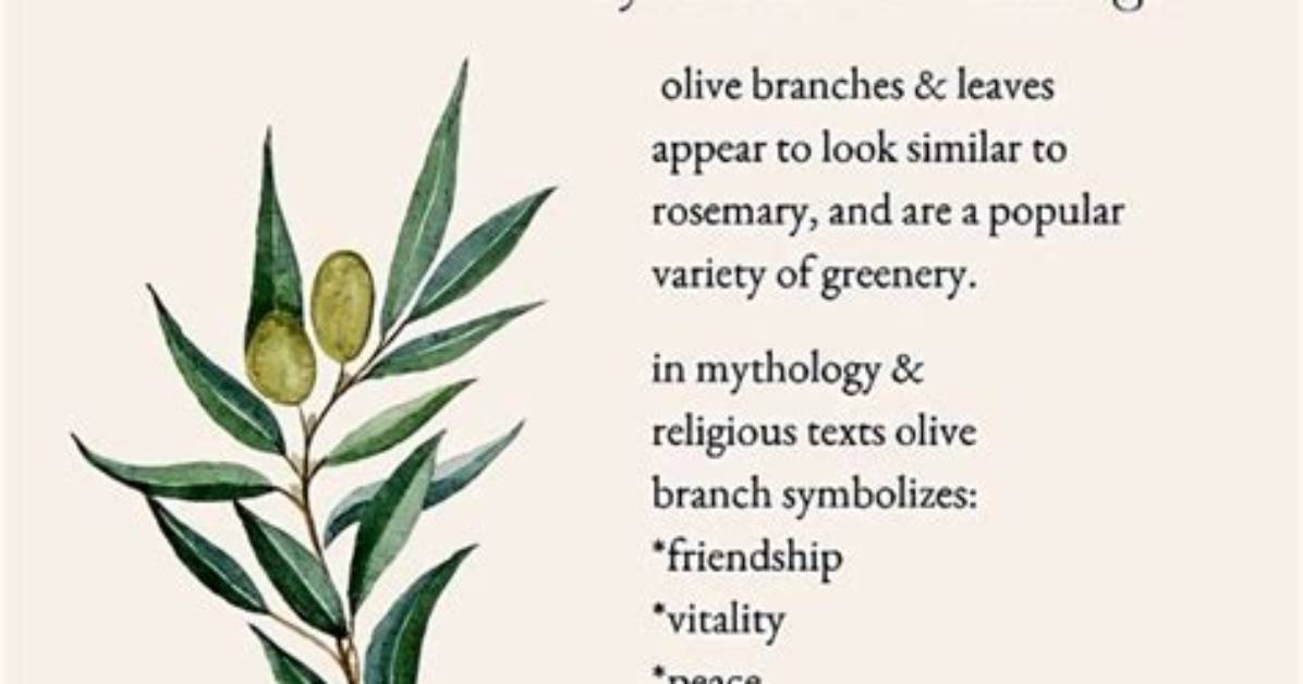 What Does Olive Oil Symbolize?