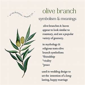What Does Olive Oil Symbolize?