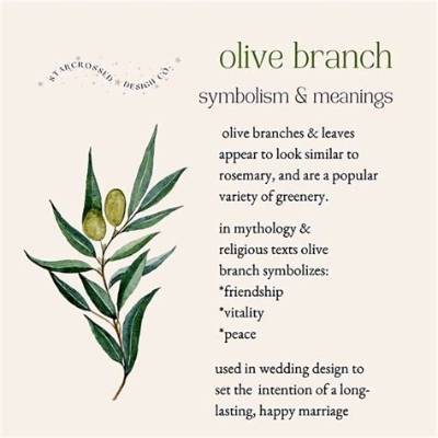 What Does Olive Oil Symbolize?