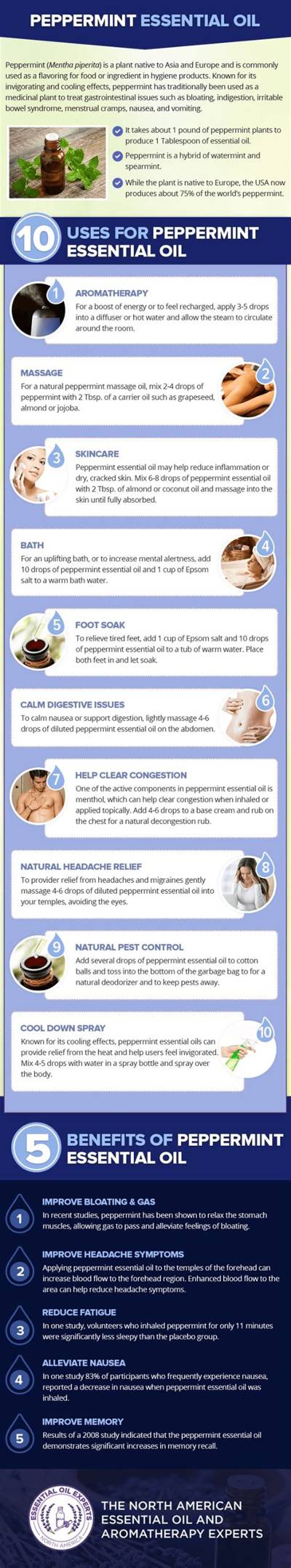 What Does Peppermint Essential Oil Do?