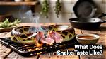 What Does Snake Taste Like?