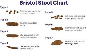 What Does Soft Mushy Stool Mean?