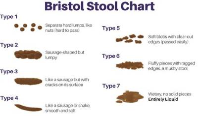 What Does Soft Mushy Stool Mean?