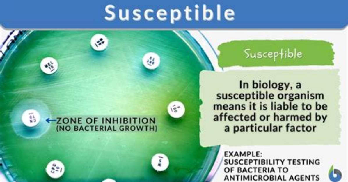 What Does Susceptible Mean?