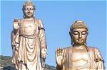 What Does the Buddha Statue Represent
