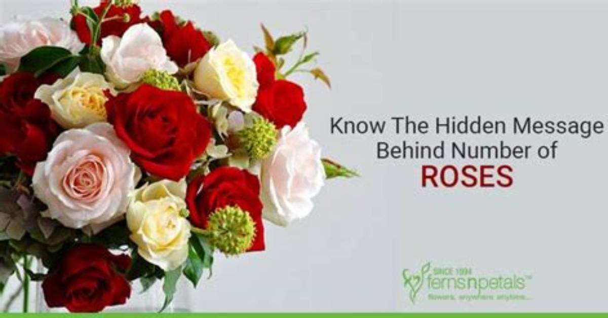 What Does the Number of Roses Given Mean?