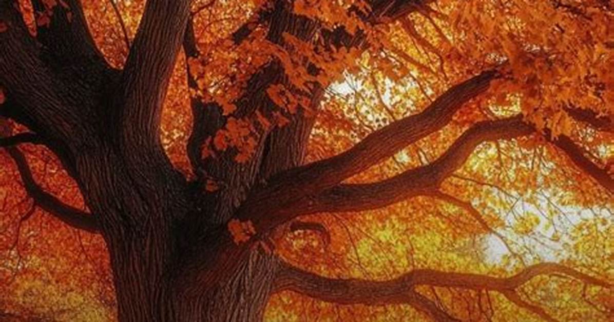 What Does the Oak Branch Symbolize on the Dime?