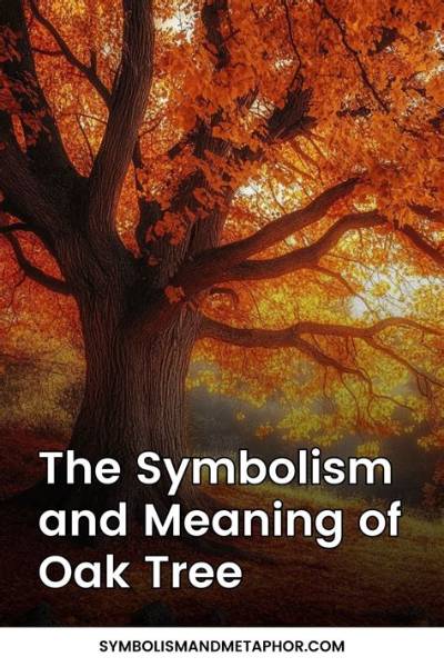What Does the Oak Branch Symbolize on the Dime?