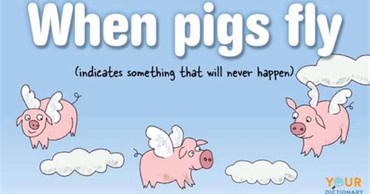 What Does the Phrase Flying Pigs Mean?