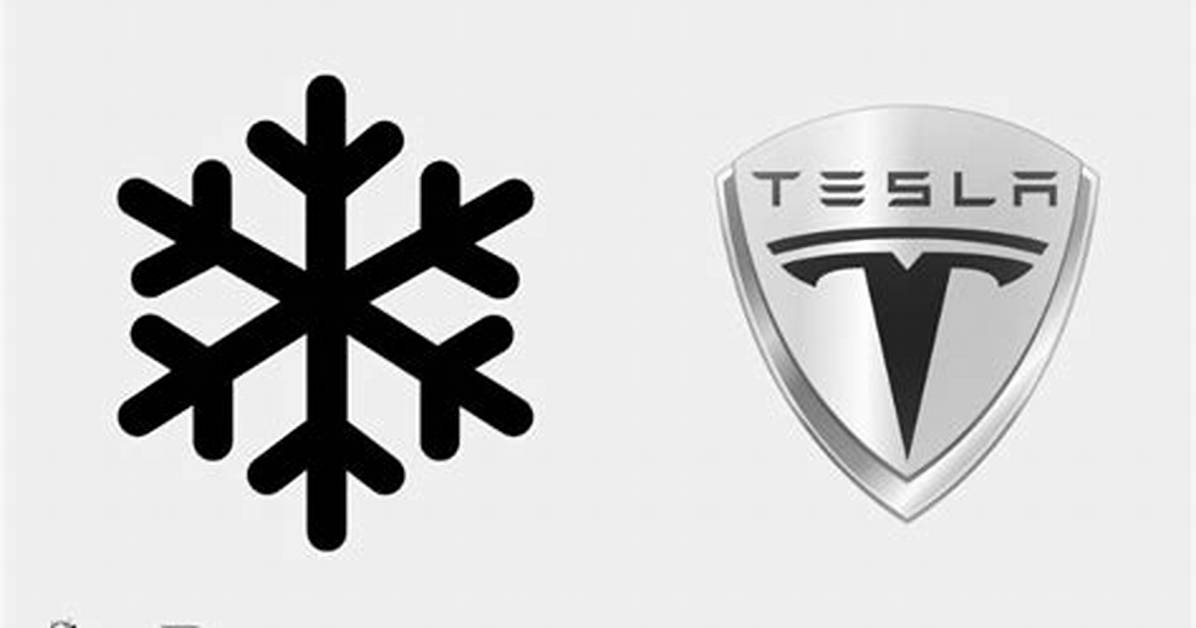 What Does the Snowflake Mean on Tesla Model 3?