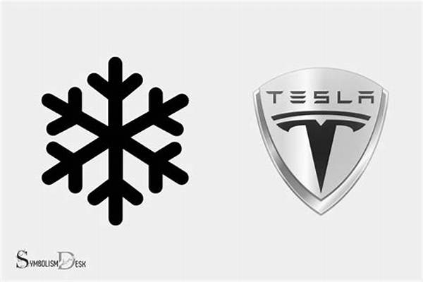 What Does the Snowflake Mean on Tesla Model 3?