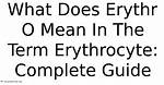 What Does the Term Karyocyte Mean?