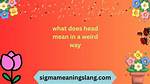 What Does Unrevealable Mean?