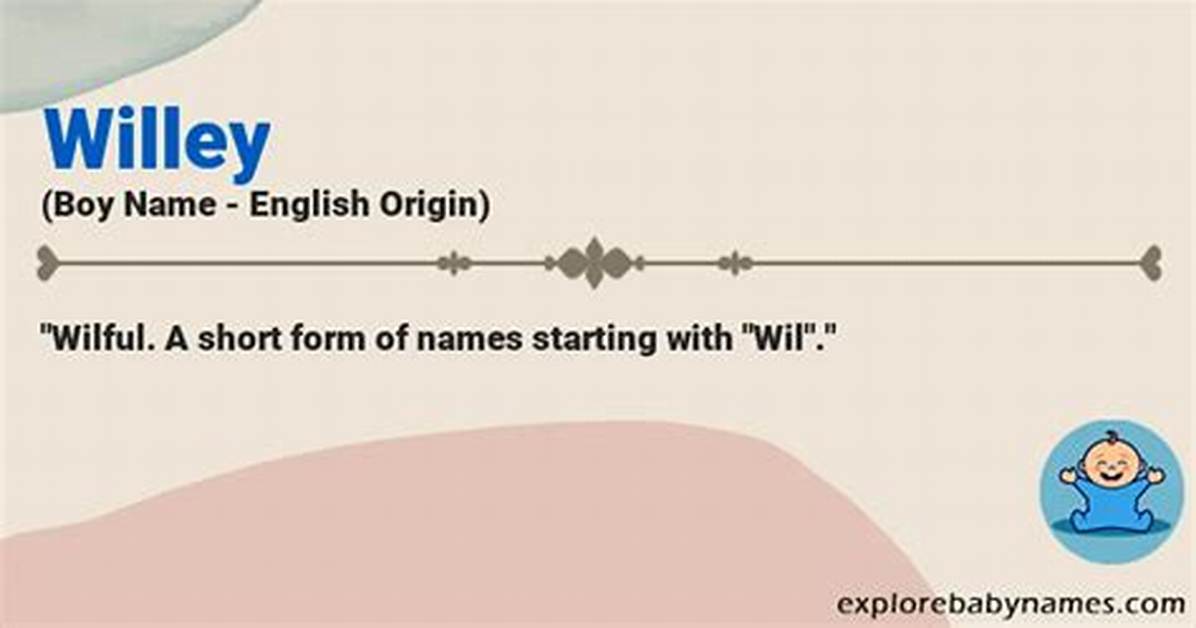 What Does Willey Mean?