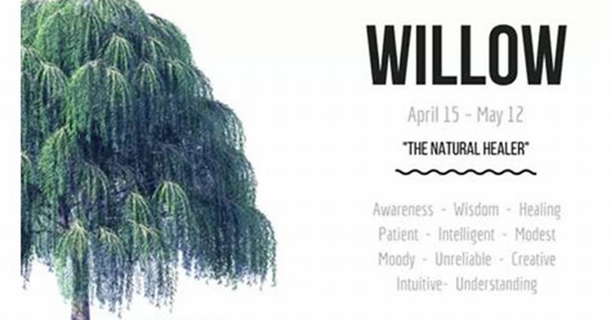 What Does Willow Mean?