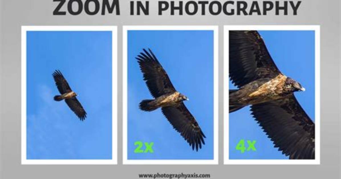 What Does Zoom in Zoom out Mean?