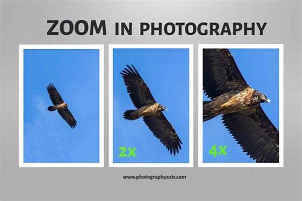 What Does Zoom in Zoom out Mean?
