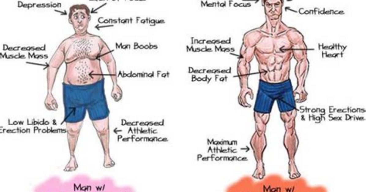 What Effect Does Testosterone Have on the Body?