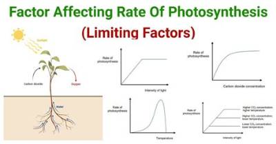 What Factors Affect the Natural Rate of Unemployment?
