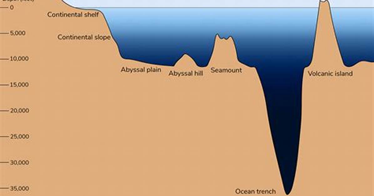 What Feature of the Ocean Floor Does the Center Slit Represent?