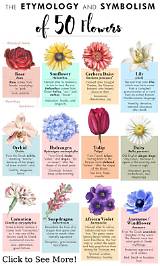 What Flower Symbolises Hope? a Comprehensive Guide
