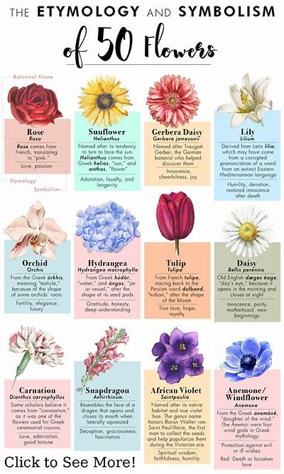 What Flower Symbolises Hope? a Comprehensive Guide