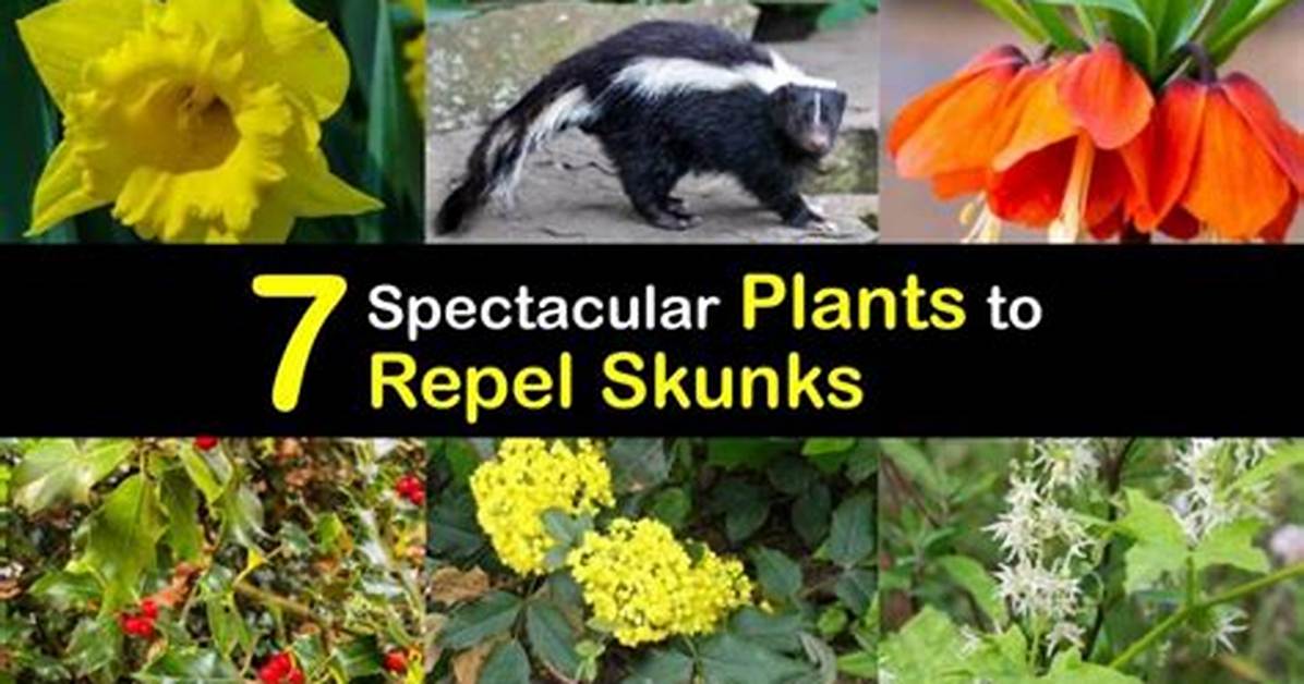 What Flowers Do Skunks Hate?