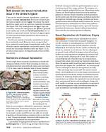 What Forms of Reproduction Does the Sea Anemone Use