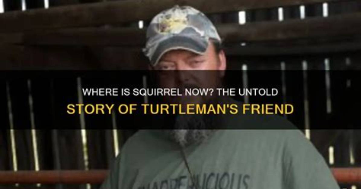 What Happened to Turtleman: the Untold Story of a Hero Who Changed the World