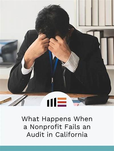 What Happens If a Nonprofit Fails the Public Support Test?