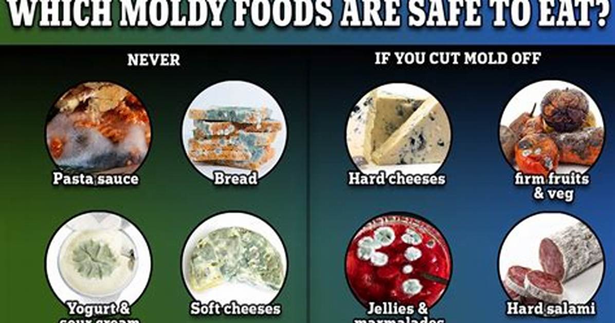 What Happens If You Use a Moldy Humidifier?