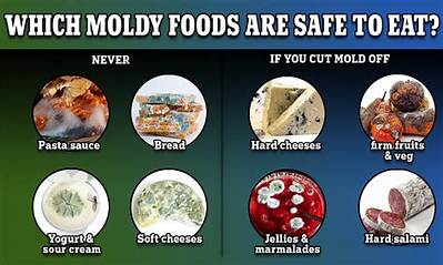 What Happens If You Use a Moldy Humidifier?