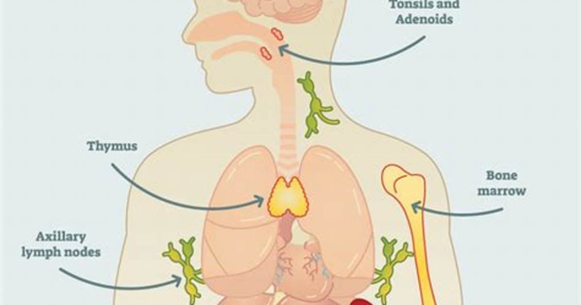What Happens If Your Immune System Is Too Strong?