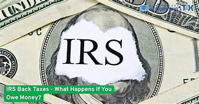 What Happens to Irs Taxes When You Die?
