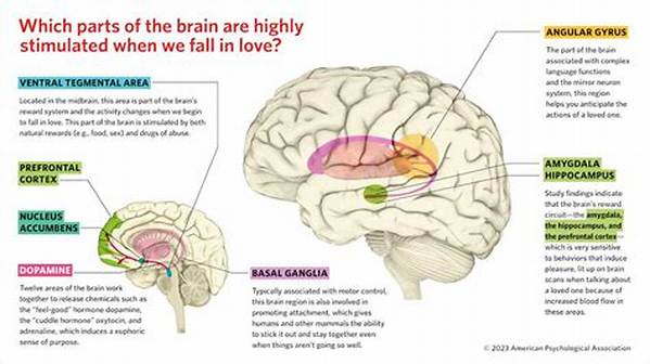 What Happens to the Brain When You Read?