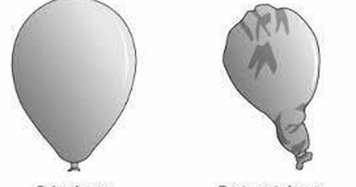 What Happens When a Balloon Is Put in a Vacuum?