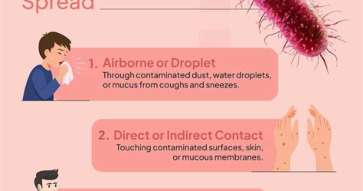 What Happens When an Infection Spreads?