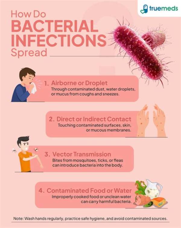 What Happens When an Infection Spreads?
