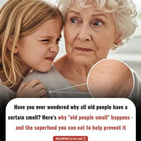 What Happens When You Are Old and Have No Money?